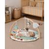 imageBlissful Diary Baby Play Gym ampamp Activity Mat 5 Developmental Zones Wooden Tummy Time Mat with 6 Detachable Sensory Toys for Motor Skills ampamp Sensory Development Baby Essentials Shower GiftGreen