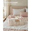 imageBlissful Diary Floral Diaper Caddy Organizer Stylish Nursery Storage Basket Gift for Baby Shower Newborn Essentials Floral BeigeFloral Beige