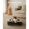 imageBlissful Diary Foam Cat Bed Small Size Washable Pet Bed for Cats and Dogs Soft Teddy Plush with Rainbow Design GreenGreen