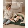 imageBlissful Diary Foam Cat Bed Small Size Washable Pet Bed for Cats and Dogs Soft Teddy Plush with Rainbow Design GreenGreen