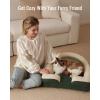 imageBlissful Diary Foam Cat Bed Small Size Washable Pet Bed for Cats and Dogs Soft Teddy Plush with Rainbow Design GreenGreen