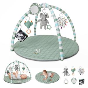 imageBlissful Diary Baby Play Gym Mat Tummy Time Activity Mat with 6 Detachable Toys for Skill Development Baby Essentials Gift Soft PinkSage Green