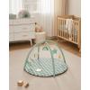image:imageBlissful Diary Baby Play Gym Mat Play Mat Activity Mat with 6 Detachable Toys for StageBased Sensory amp Motor Skill Development Easy to Install amp Clean Baby Essentials Gift Sage CheckerboardSage Checkerboard