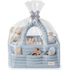 image:imageBlissful Diary Flannel Diaper Caddy Organizer with Gift Packaging Portable Nursery Storage Basket Gift for Baby Shower Newborn Boys amp Girls Essentials Registry Search Must Haves Light Blue