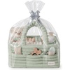 image:imageBlissful Diary Flannel Diaper Caddy Organizer with Gift Packaging Portable Nursery Storage Basket Gift for Baby Shower Newborn Boys amp Girls Essentials Registry Search Must Haves Light Green